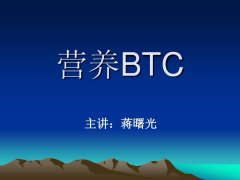 比特矿业(BTCMUS)5月20日