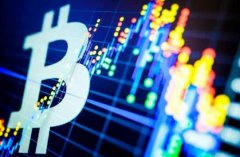 观点：企业积累BTC数量被