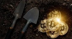 美国20万枚比特币储备不存