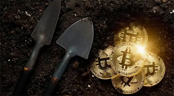 实火！多家美股公司调整加密货币储备策略