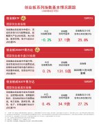 创业板指冲高回落创业板