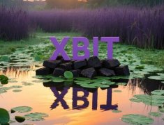 BTC流入币安数量激增高达7500 XBIT维稳币杠杆操作